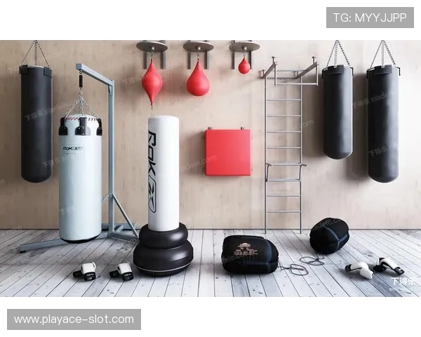 围绕Knight划船机与Bin哥拳击沙包打造高效双重训练指南